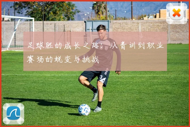 足球胚的成长之路：从青训到职业赛场的蜕变与挑战